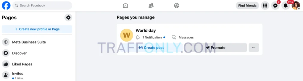 Интерфейс Facebook Ads с настройкой рекламы на OnlyFans