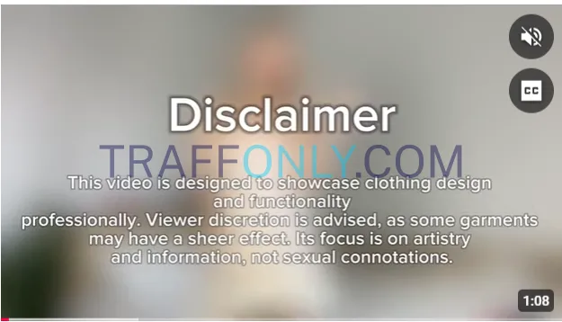 Дисклеймер для ютуба на онлифанс 