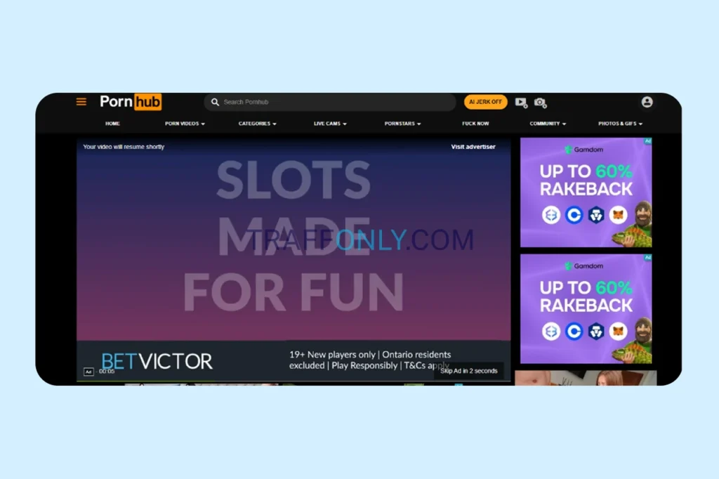 TrafficJunky форматы