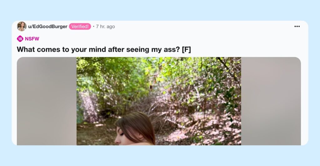 Verification Reddit NSFW 